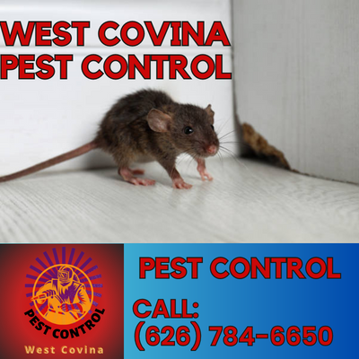 West Covina Pest Control - Your Trusted Local Exterminator