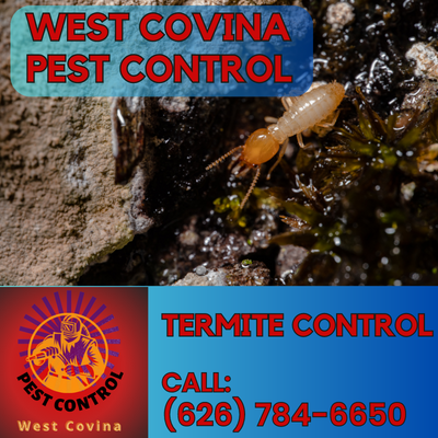 West Covina Pest Control – Your Trusted Experts in Termite Control